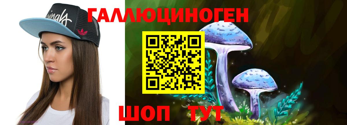 Галлюциногенные грибы Psilocybine cubensis Ликино-Дулёво
